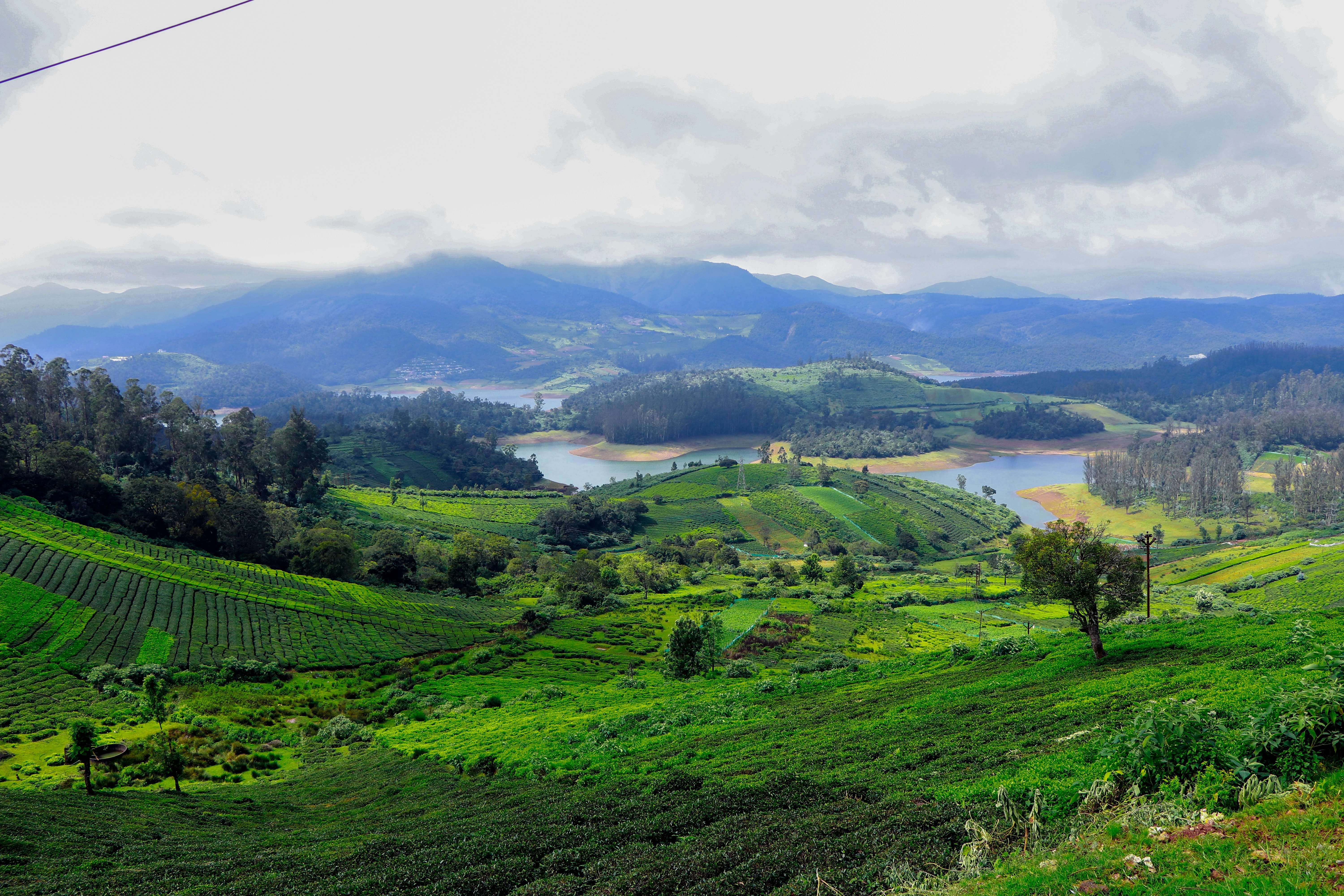 7-Day South India Tour Itinerary: Explore Mysore, Coorg & Ooty with Local Sightseeing