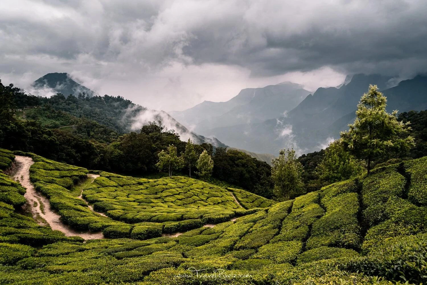 Best Places to Visit in India During Monsoon (2026 Guide)